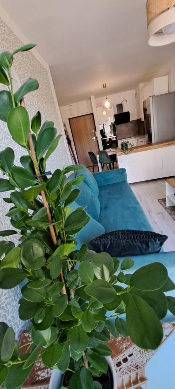apartament Zielony Apartment in Pomeranian Voivodeship