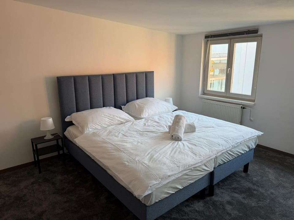 Grand Historic Residence by Presidential Palace Apartment in Bratislava