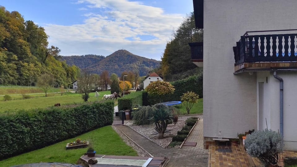 Natural landscape, Garden, Garden view