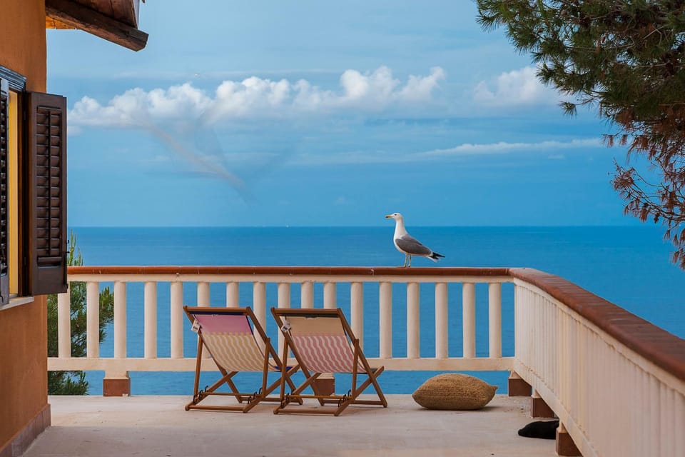 Sea view, sunbed