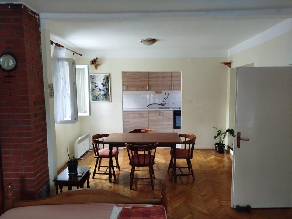 Pineapple Apartment in Montenegro