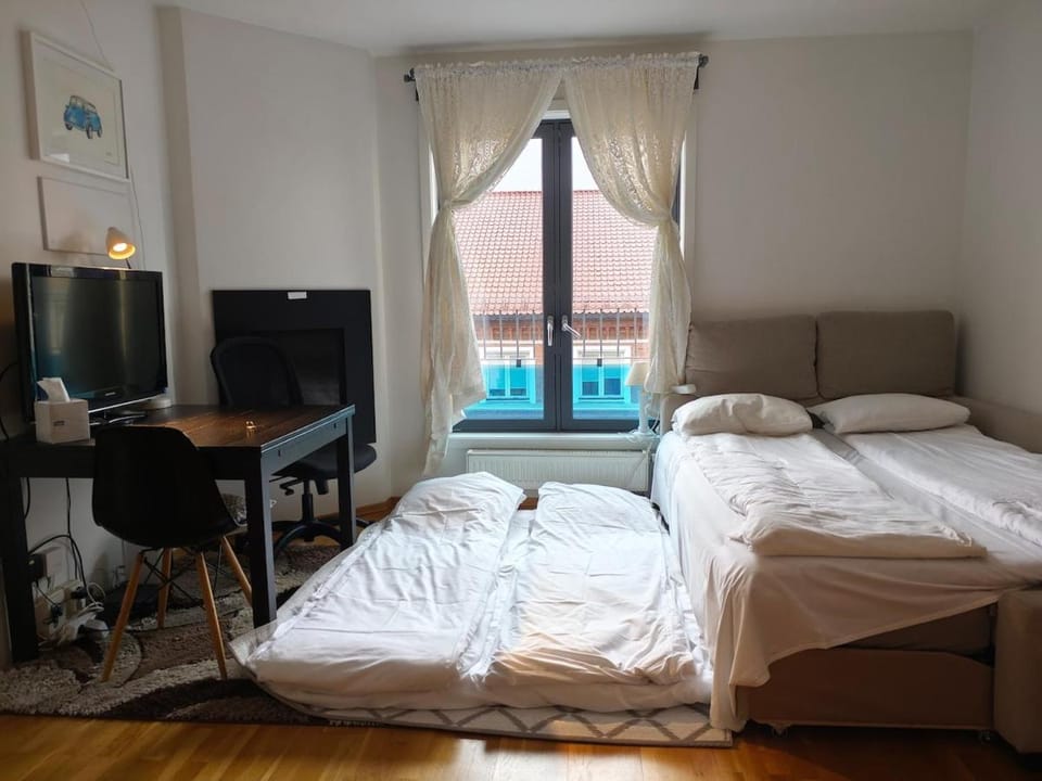 High-quality apartments Apartment in Oslo
