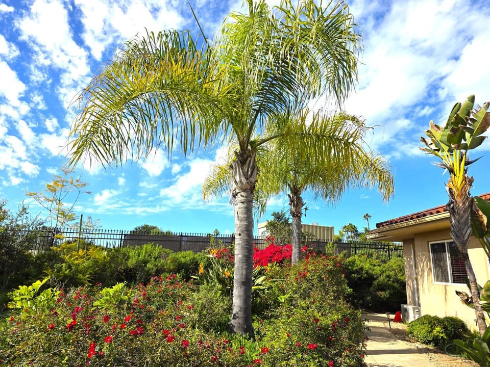 Morning Glory Retreat-Private Lux 1-Bedroom Suite in a Tropical Resort Setting Bed and Breakfast in Vista