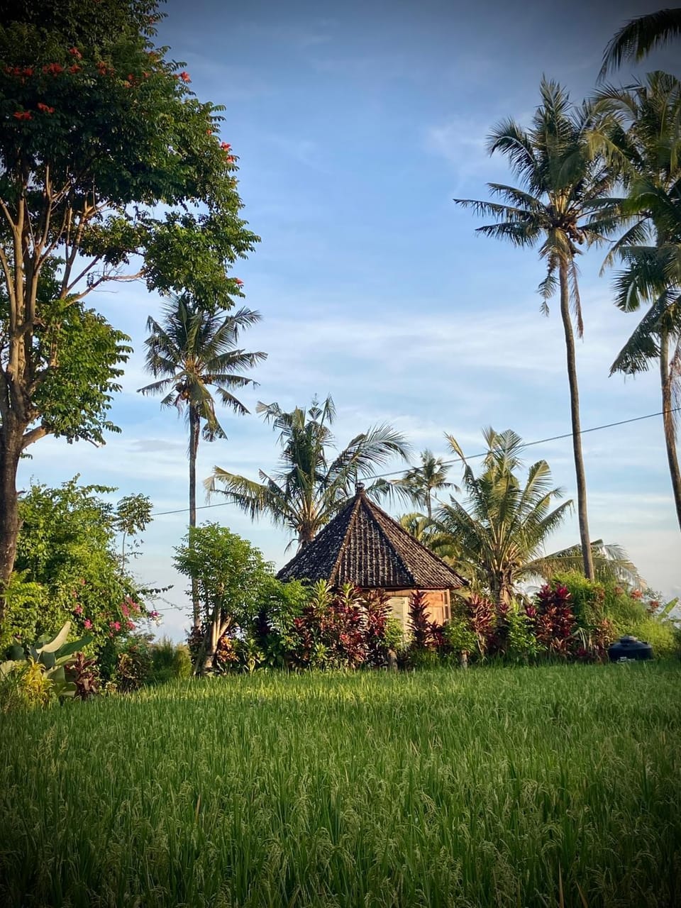 Natural landscape, Garden, Sunrise, Sunset, pet friendly