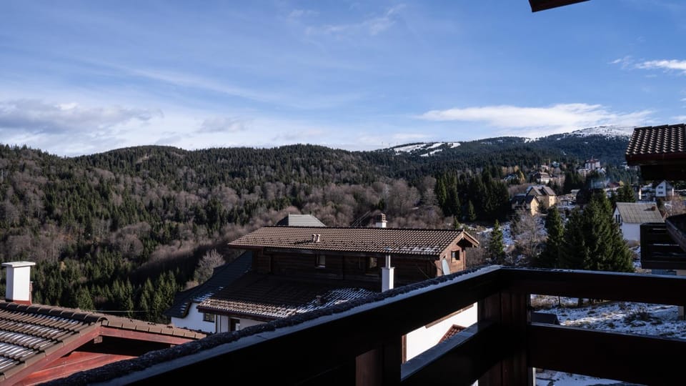 Mountain view