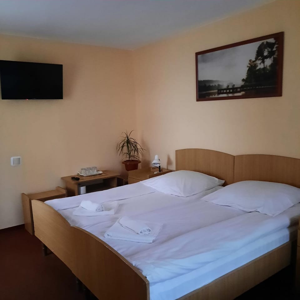 Pensiunea Casa Vulkan Bed and Breakfast in Romania