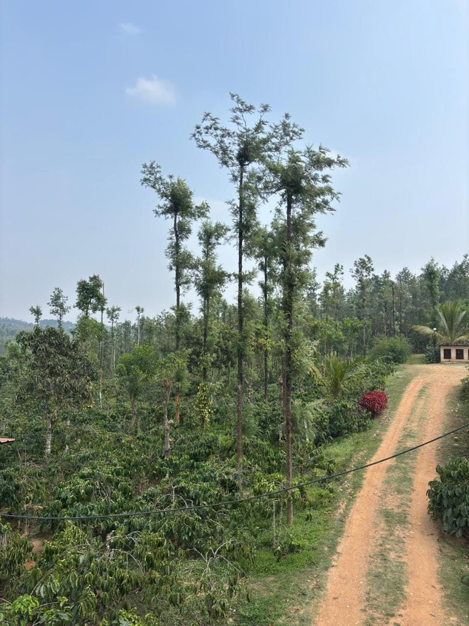 Alpha Camps Vacation rental in Karnataka