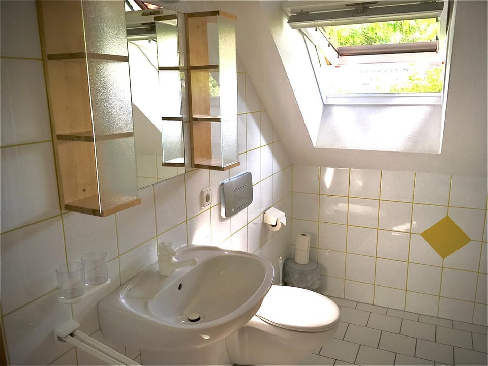 Toilet, Bathroom
