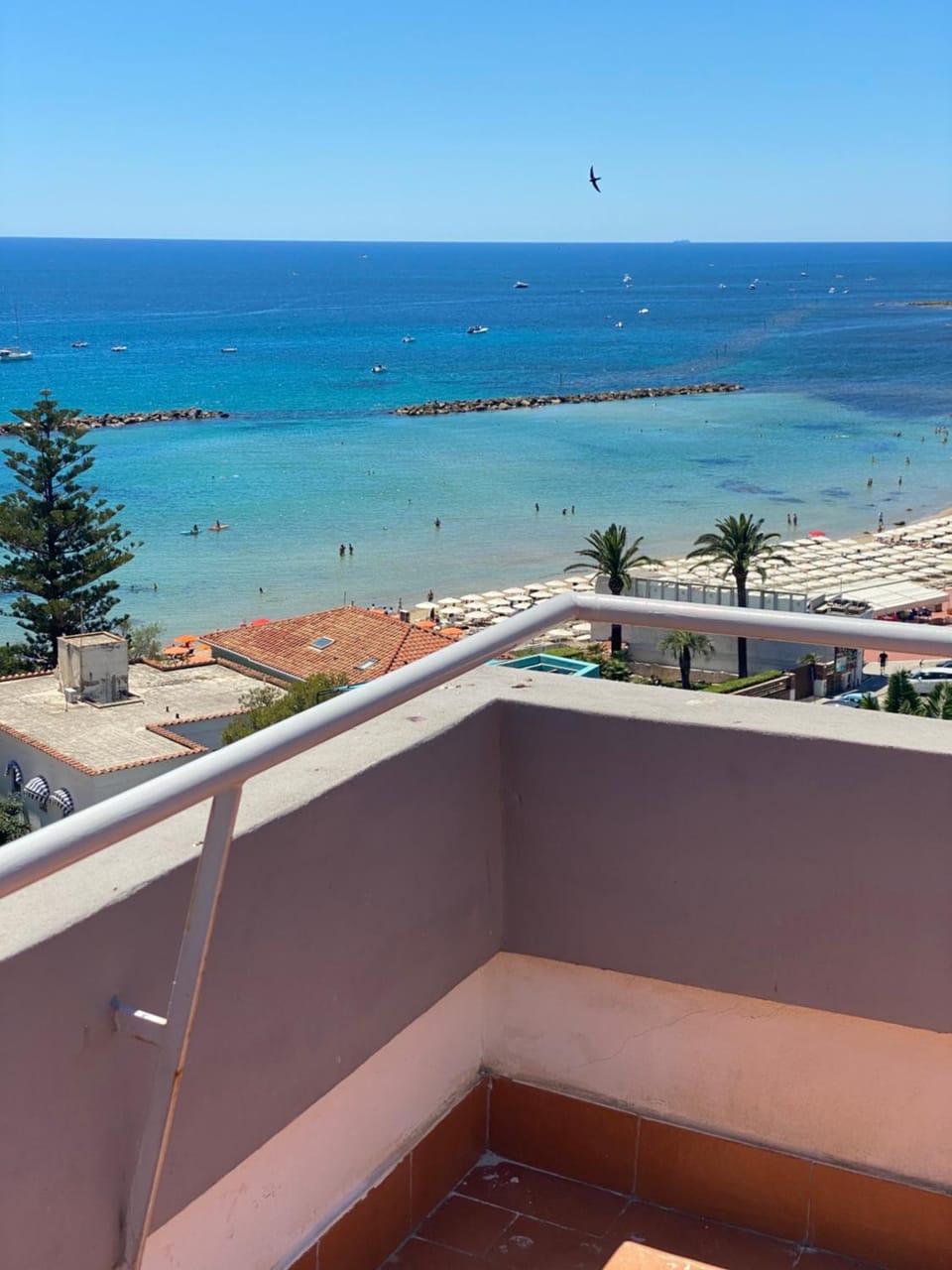 Balcony/Terrace, Balcony/Terrace