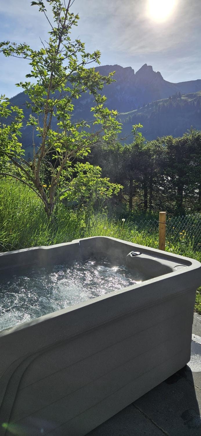 Hot Tub and Sauna Stay with Garden Views and near Gondola House in Canton of Valais