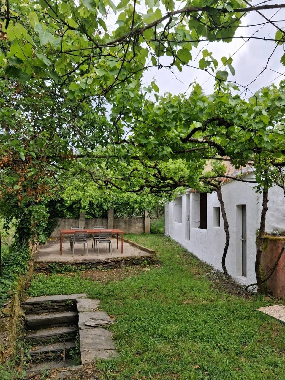 Patio, Garden