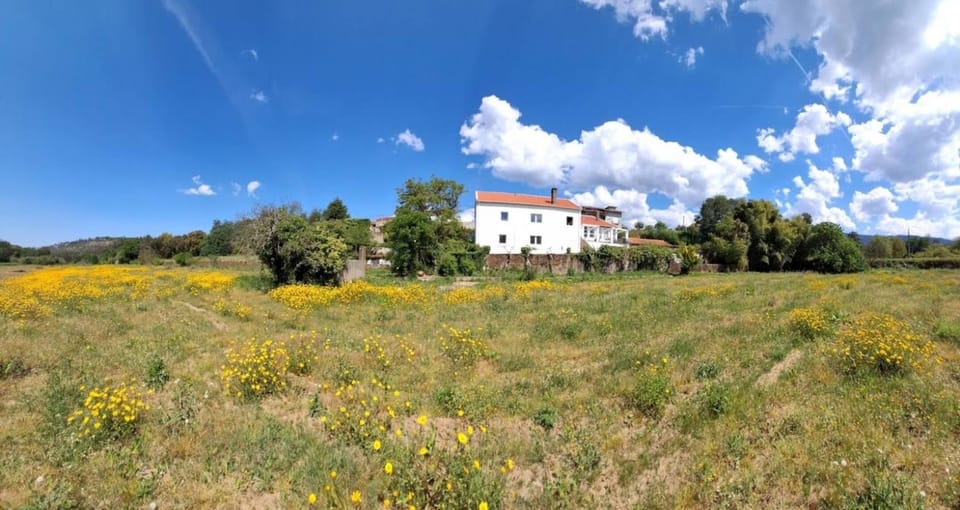 Natural landscape