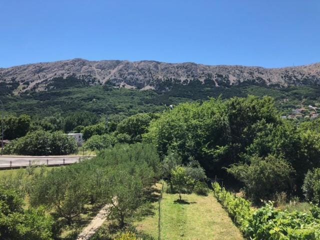 View (from property/room)