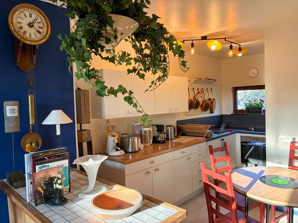 Food and drinks, Dining area, Food, kitchen