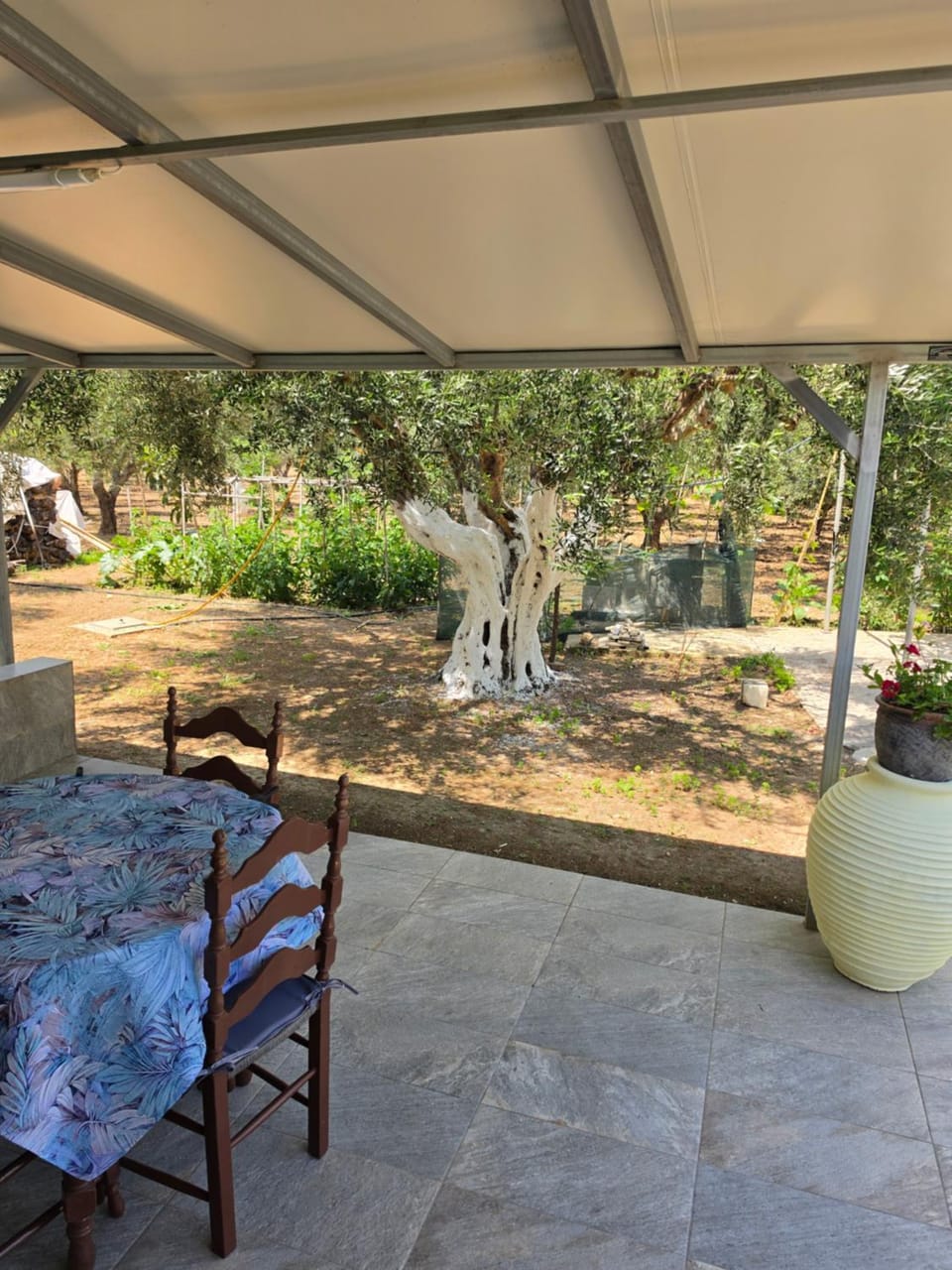 Garyfallia's House Apartment in Messenia