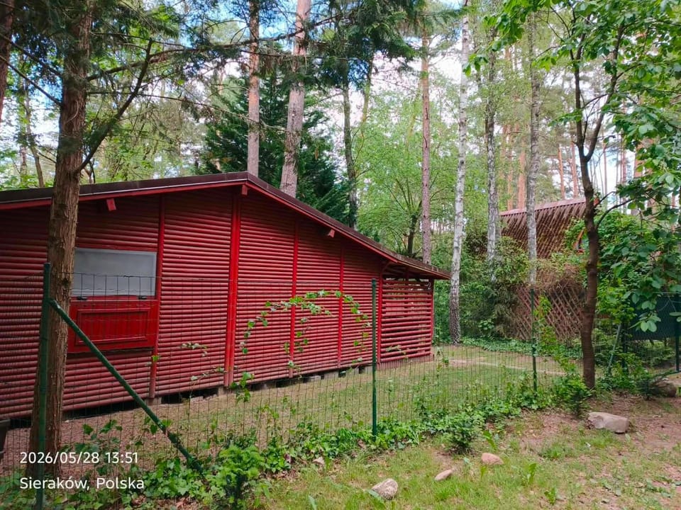 Słowicza Chatka Apartment in Greater Poland Voivodeship