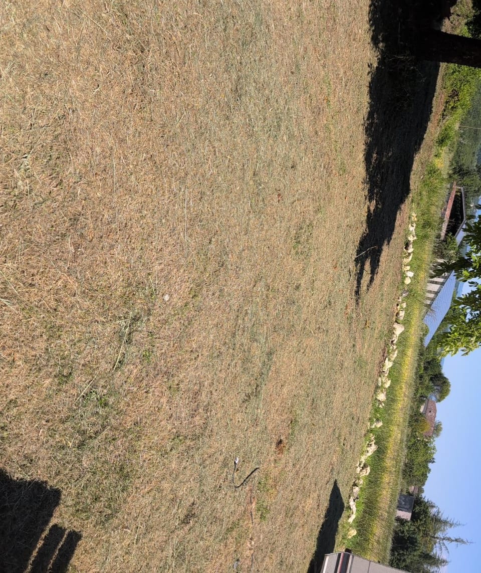 Au soleil Farm Stay in Occitanie