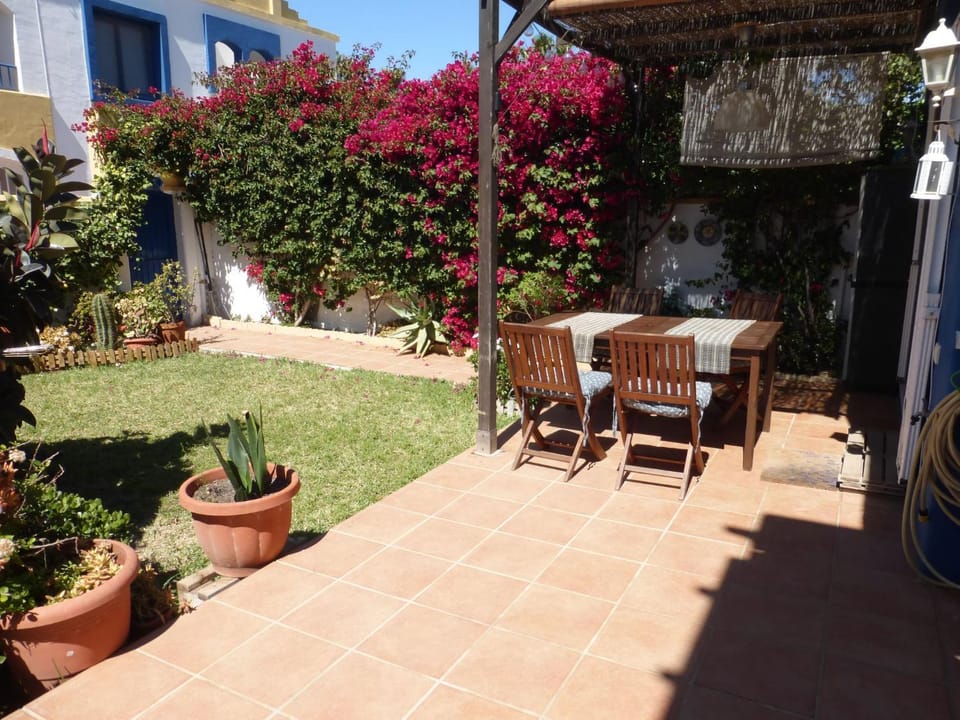 Patio, Garden