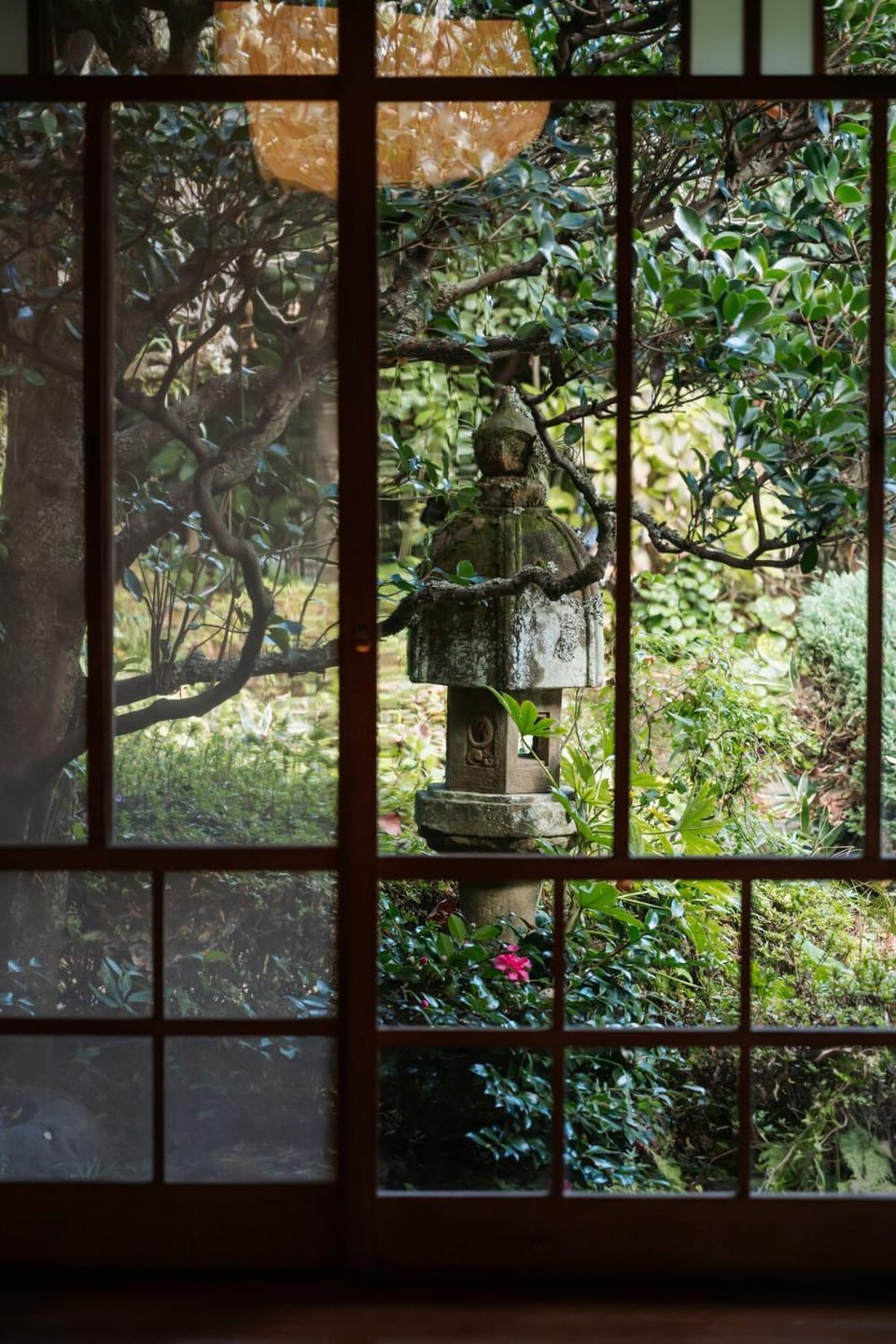 Garden, Garden view