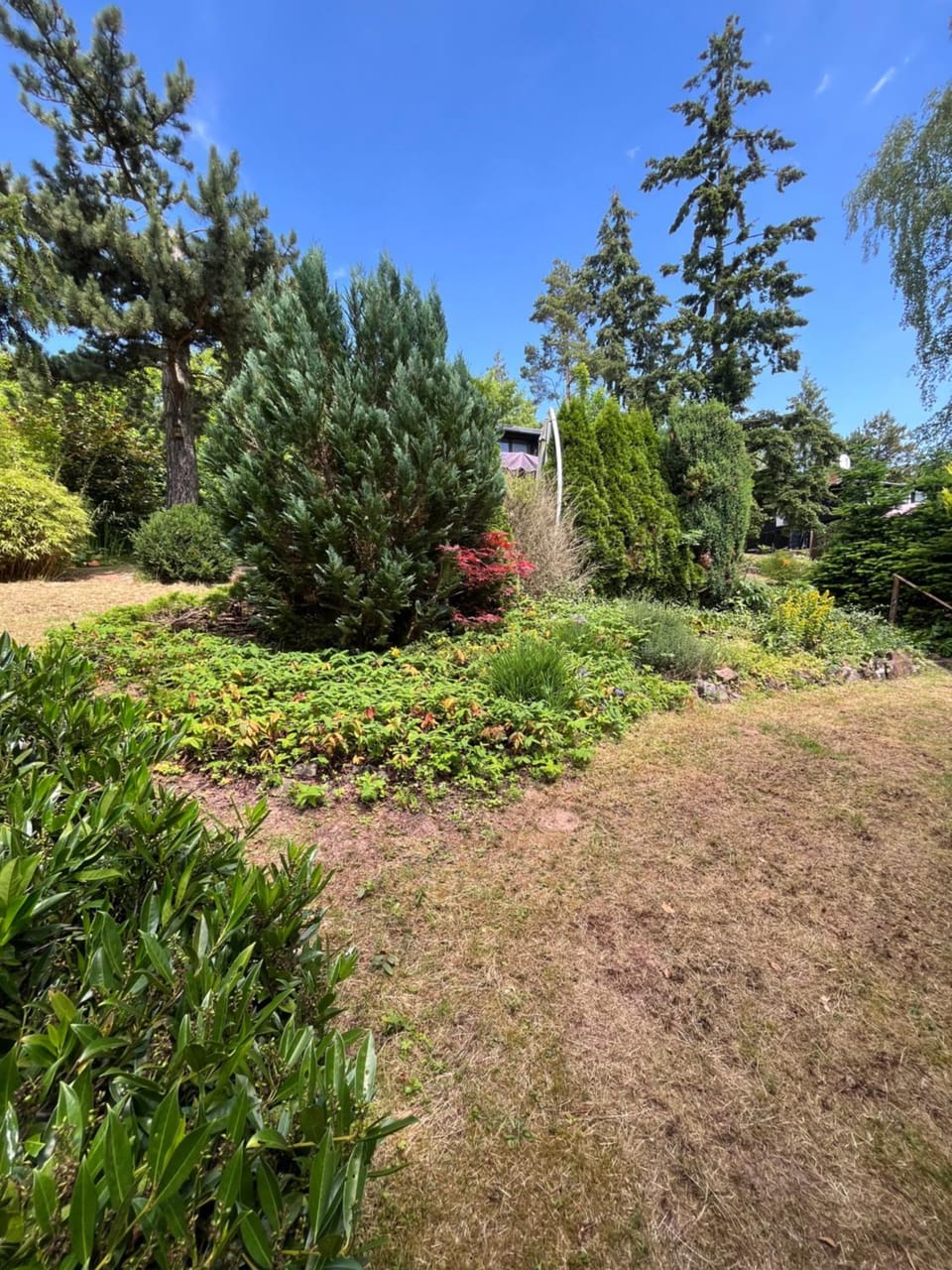 Natural landscape, Garden