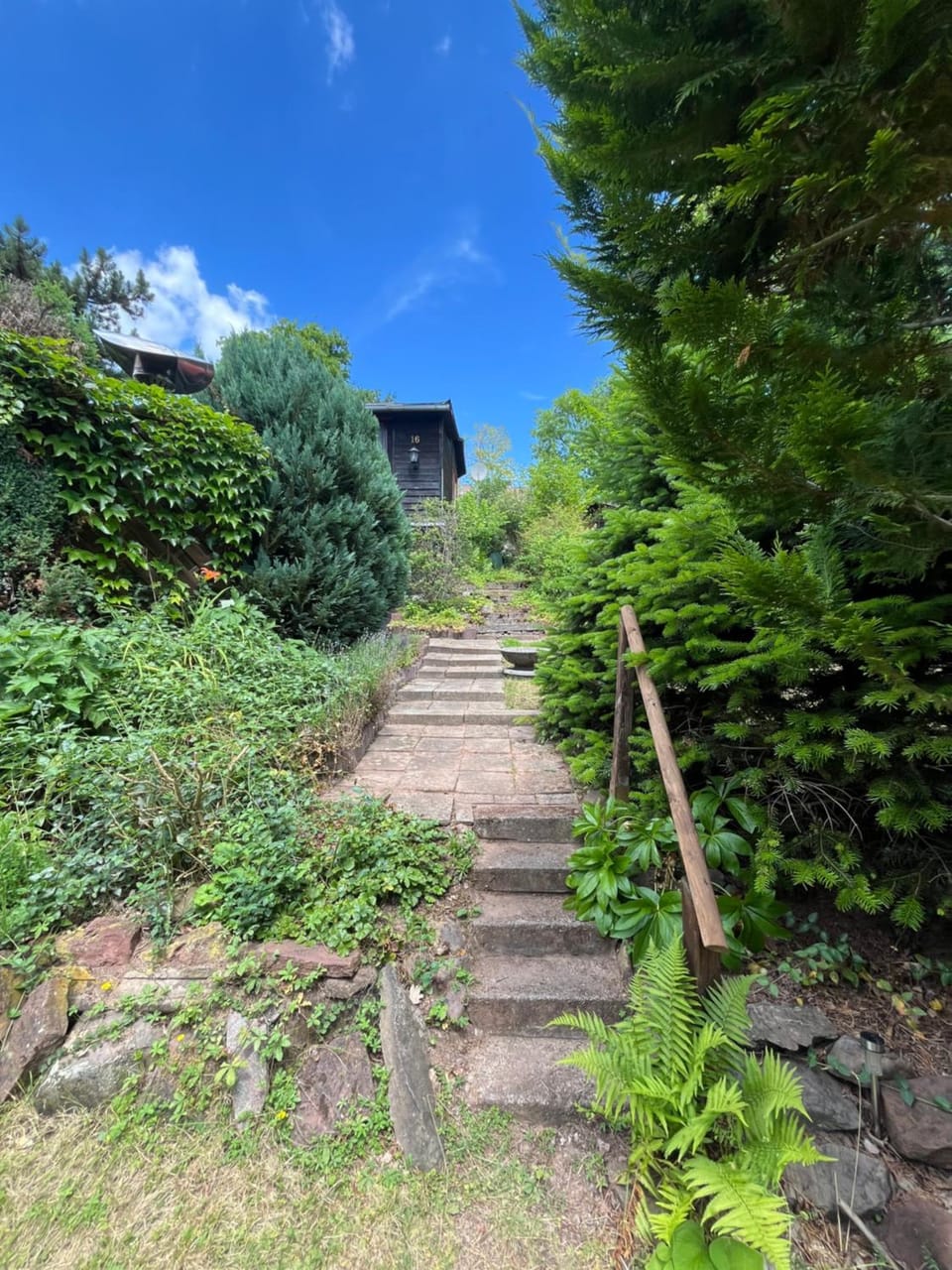 Garden view