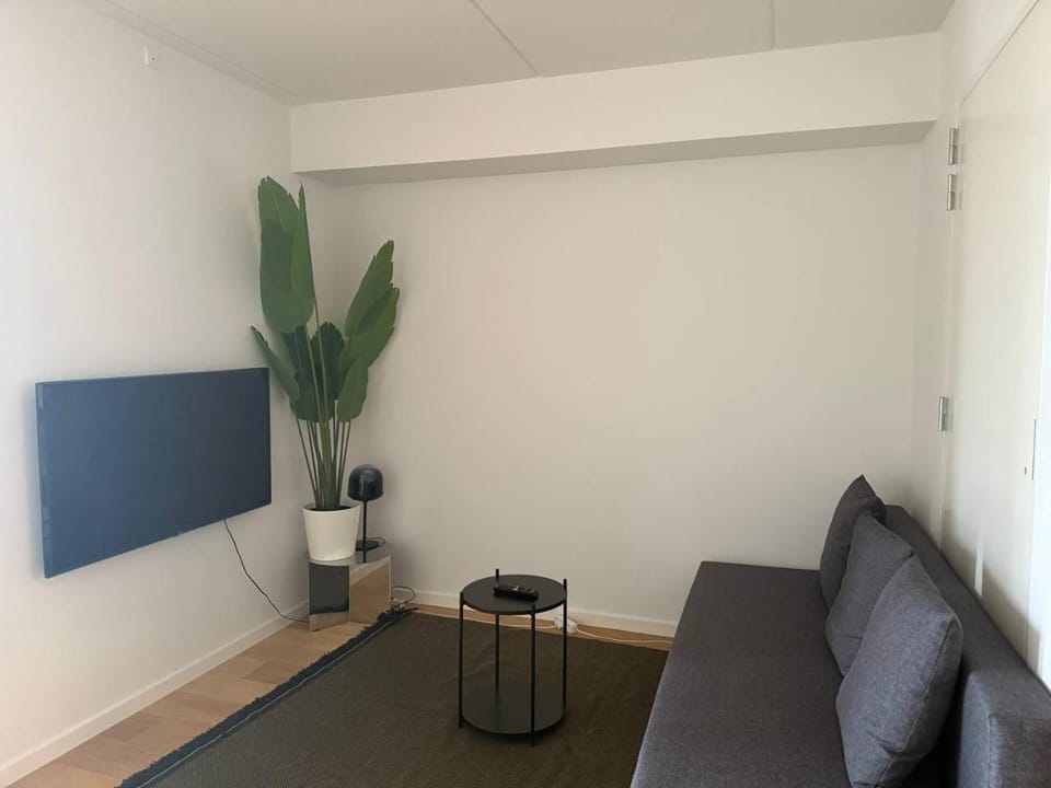 Exclusive New Apt Close To City Center Apartment in Copenhagen