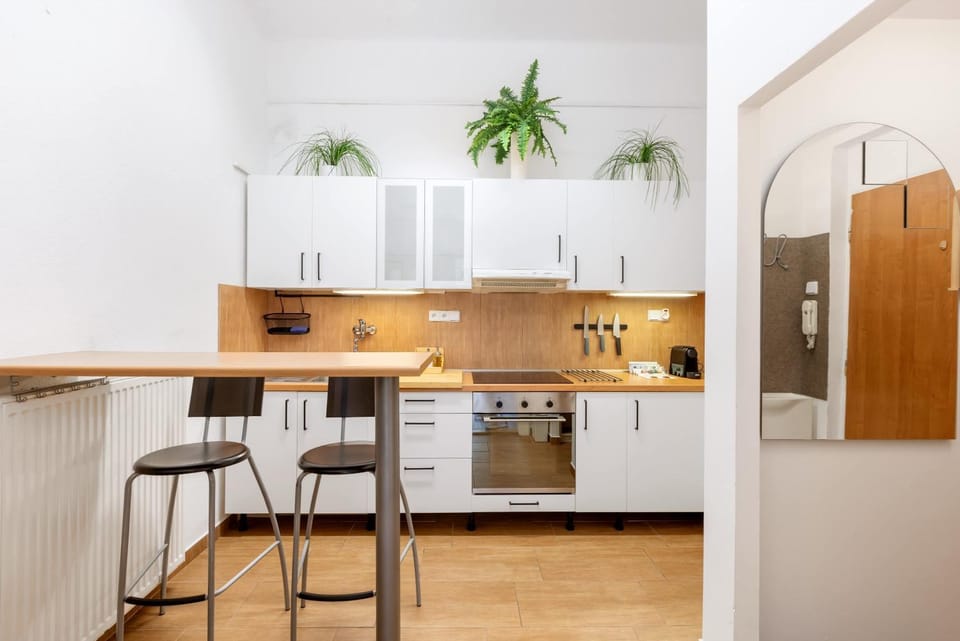 Spacious apartment Apartment in Prague