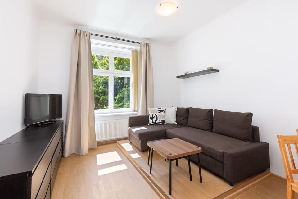 Spacious apartment Apartment in Prague