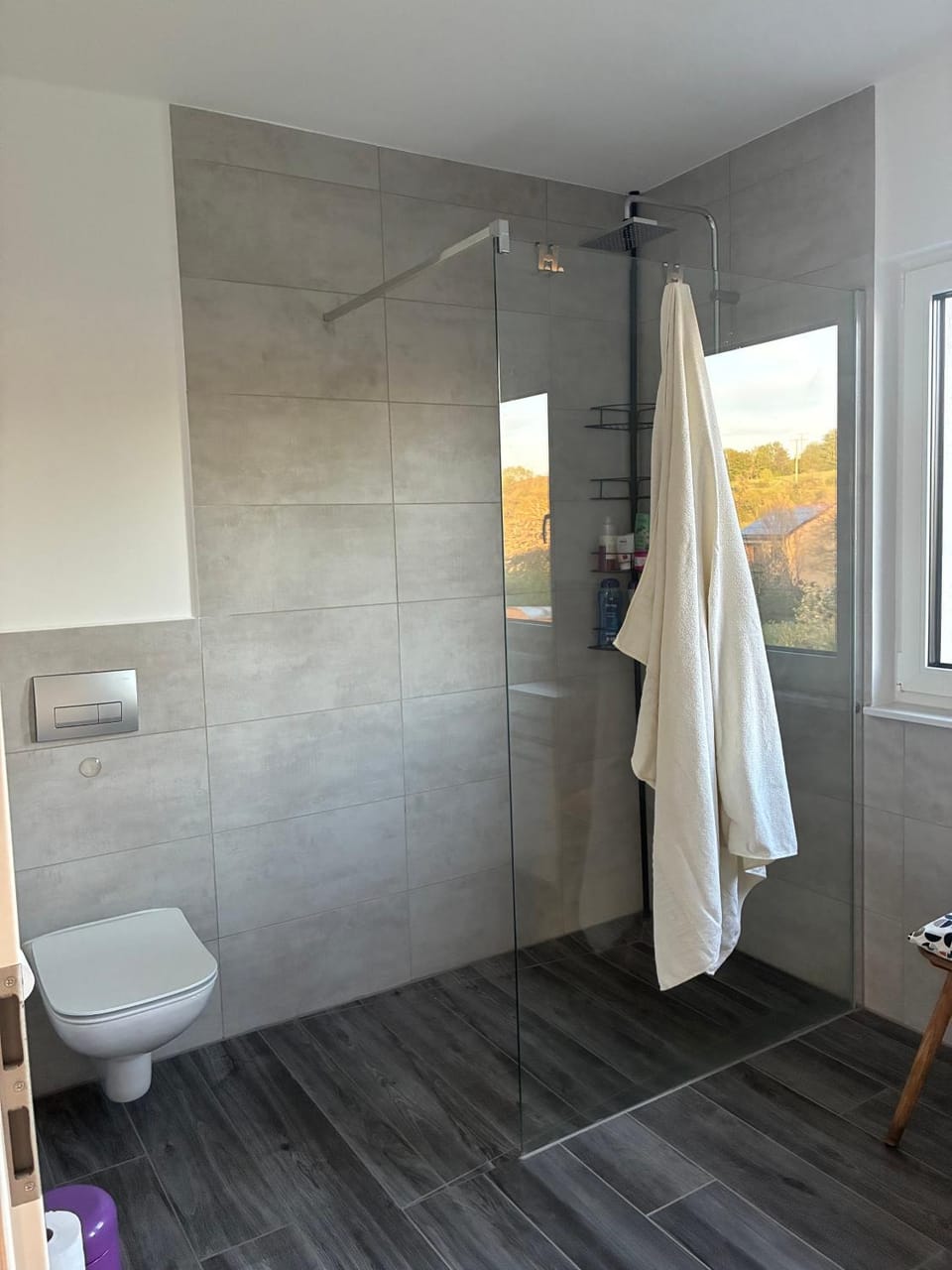 Bathroom, Living room