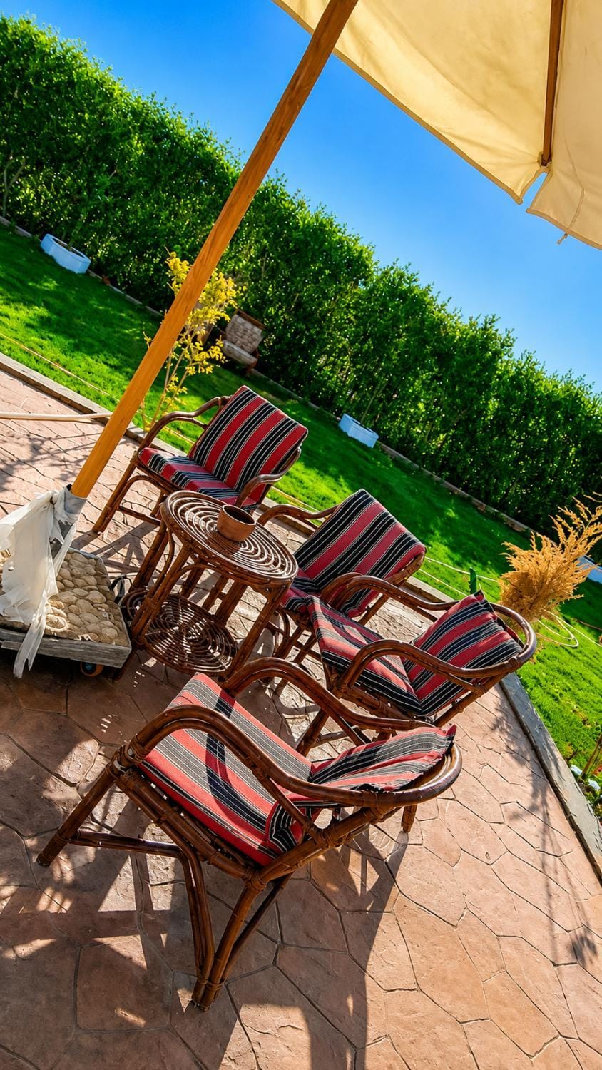 Spring, Day, Garden, Balcony/Terrace, Garden view, sunbed