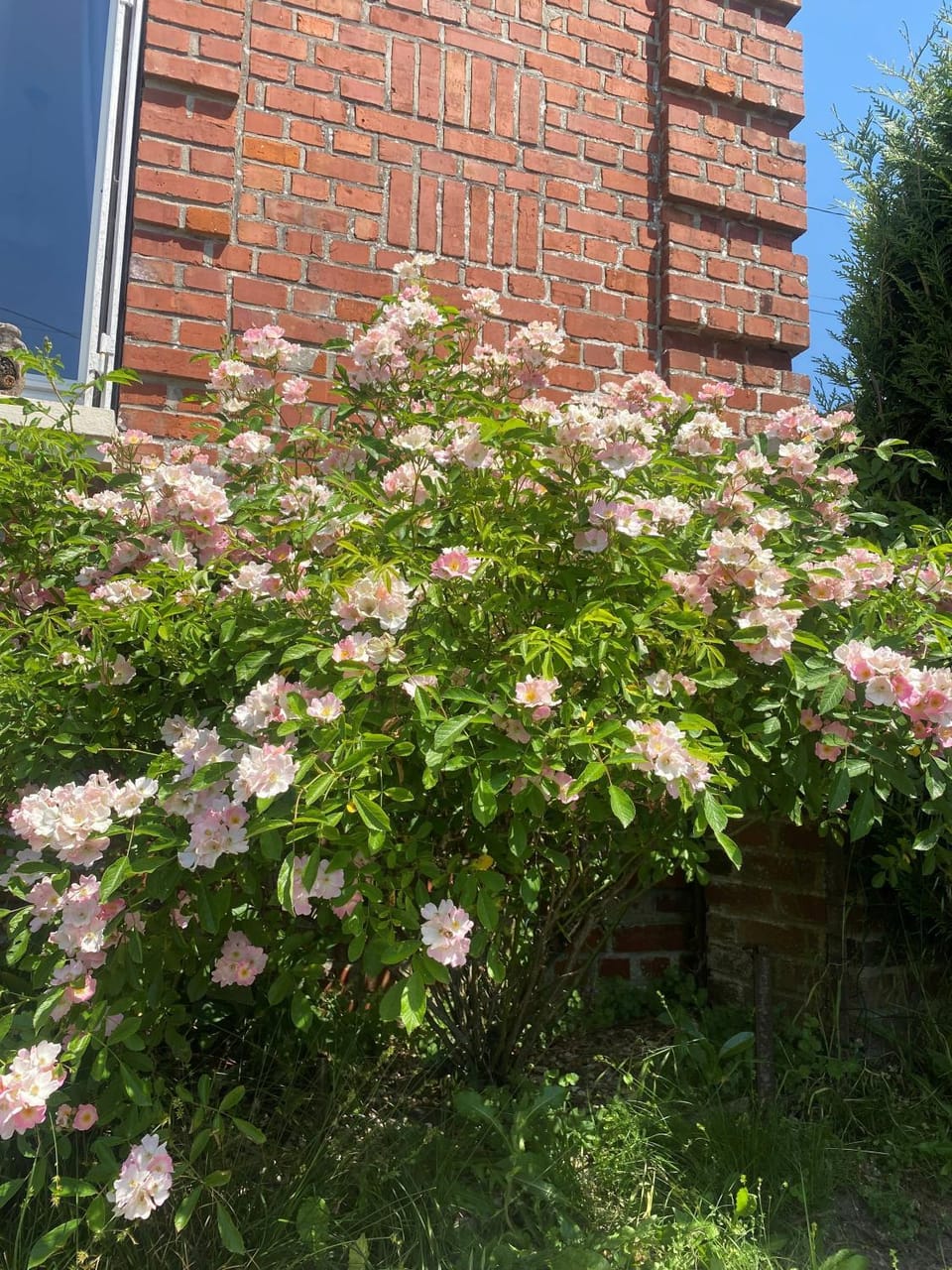 La Ferme des Coquelicots Bed and Breakfast in Hauts-de-France