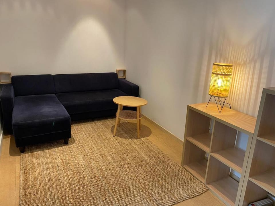 Le WELCOME in Pau Apartment in Pau