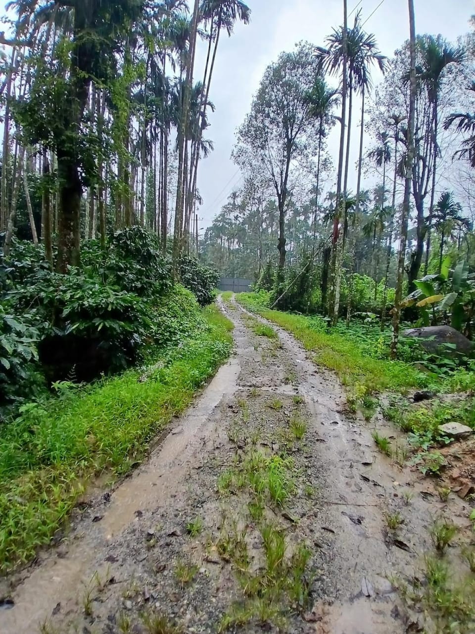 Anagha Stay - Chikmagalur Vacation rental in Karnataka