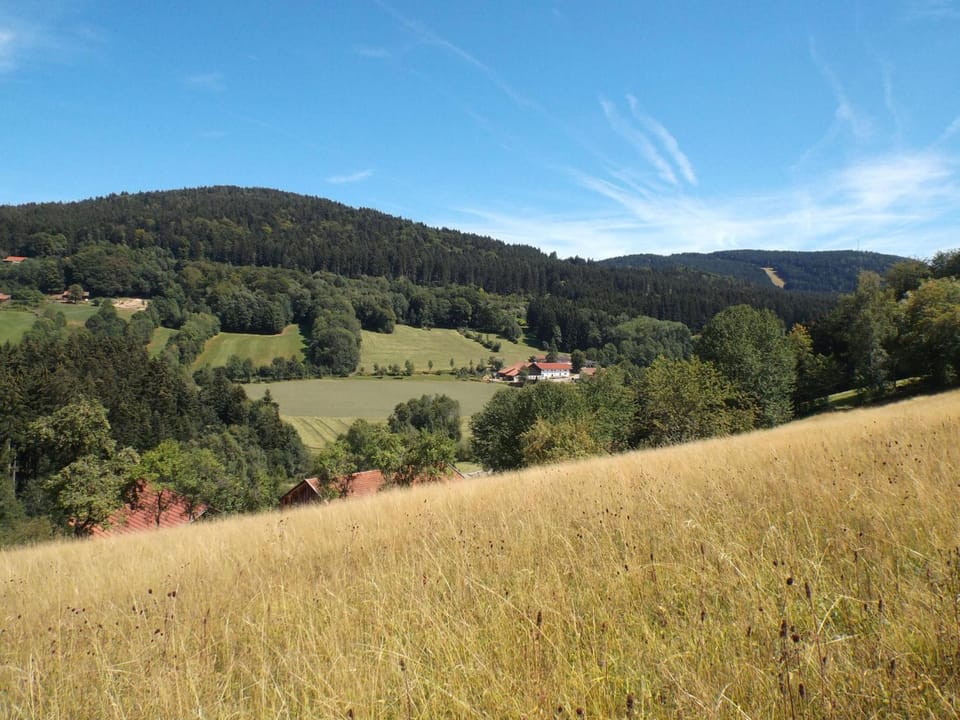Natural landscape