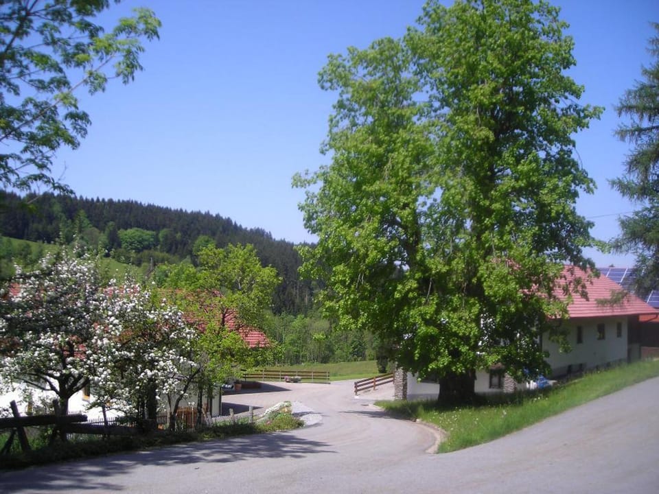 Natural landscape