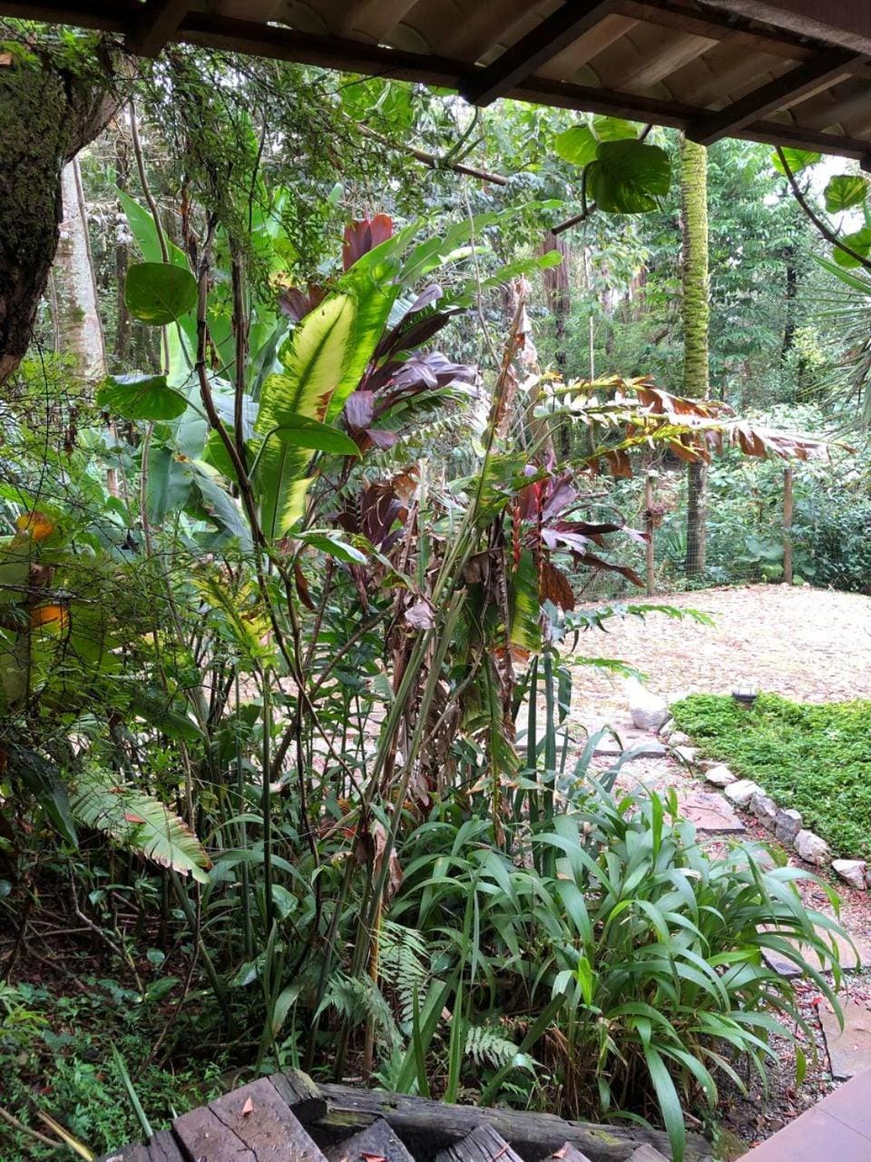 Chalé das Flores Bed and Breakfast in State of Minas Gerais, Brazil