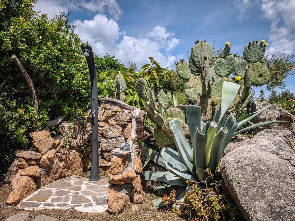 Day, Garden, Garden view