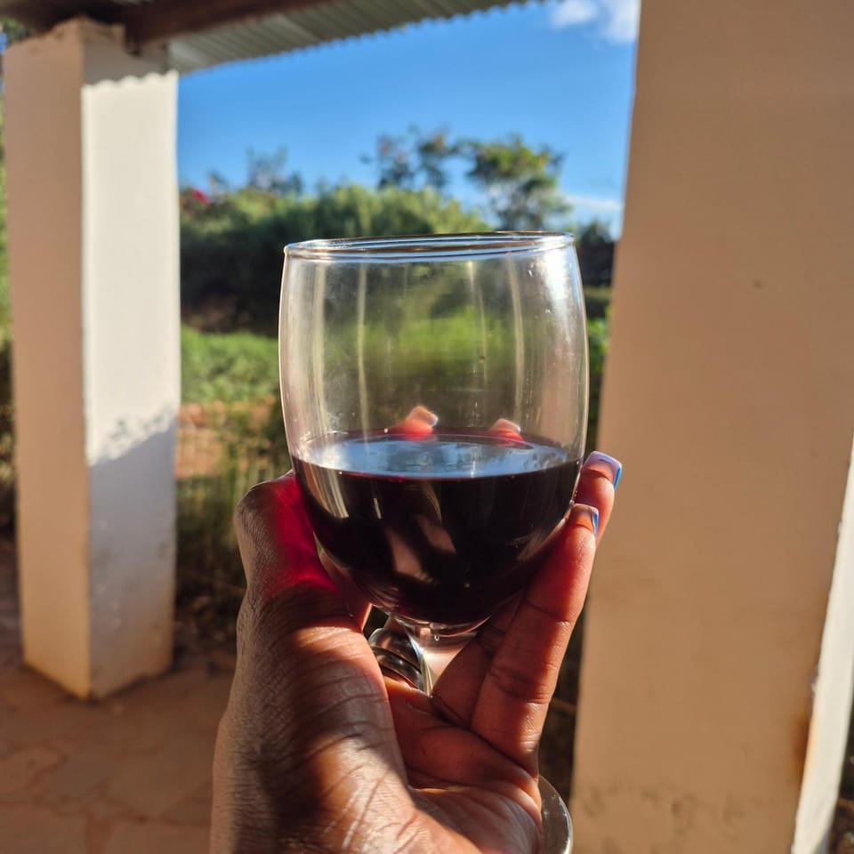 Deedee's Apartment in Lusaka