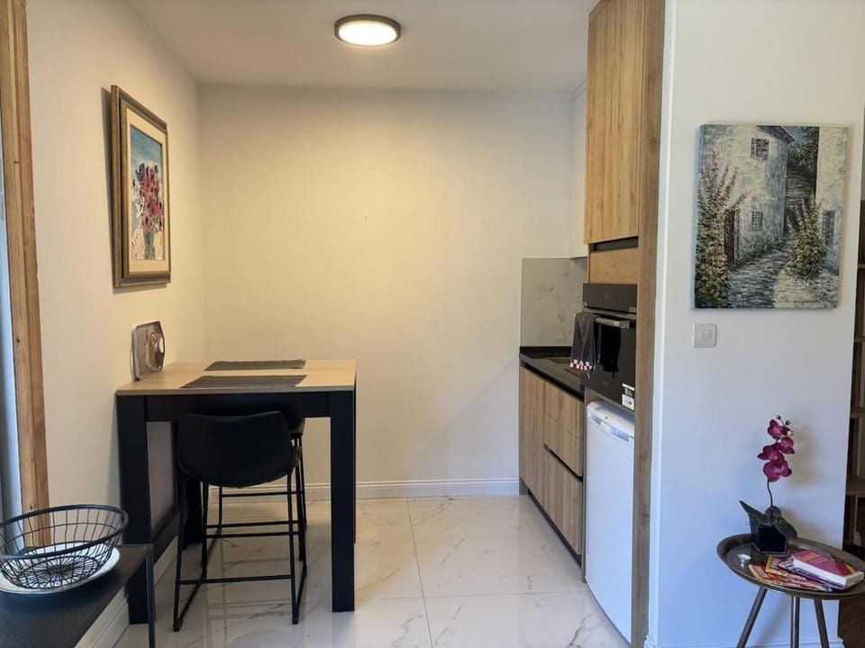 l'Ambassadeur Apartment in Évian-les-Bains