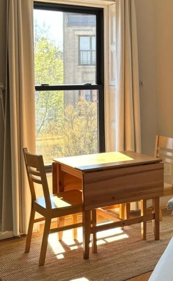 Brooklyn sun kissed studio apartment Apartment in Bedford-Stuyvesant
