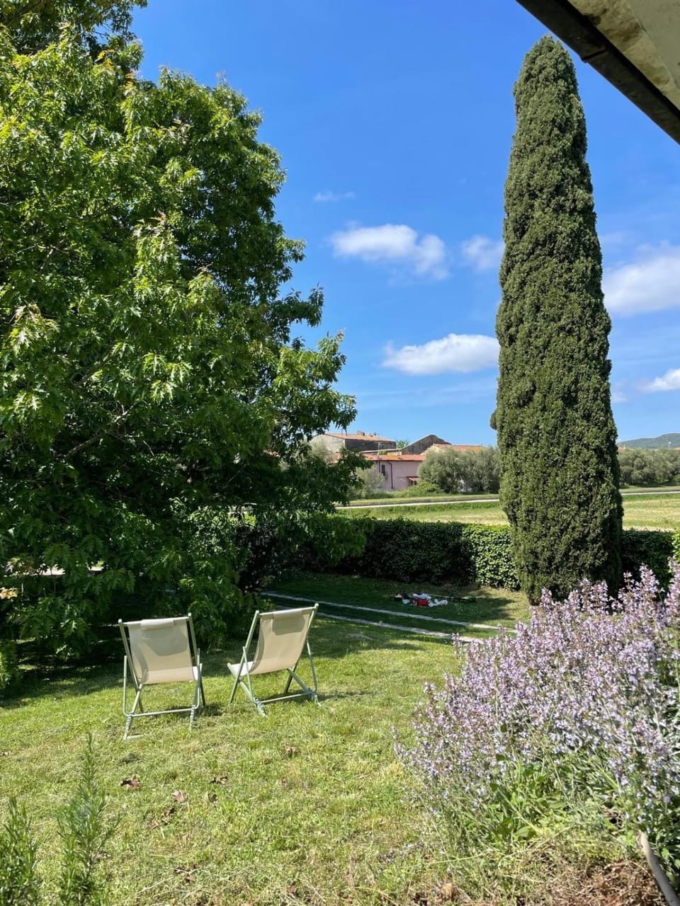 Garden view