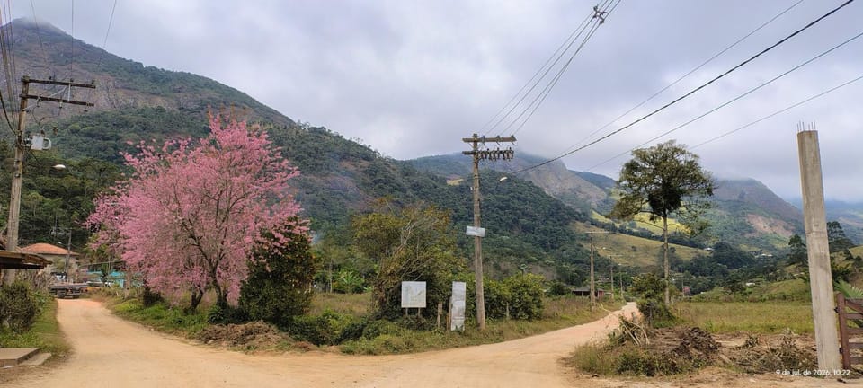 Quiet street view