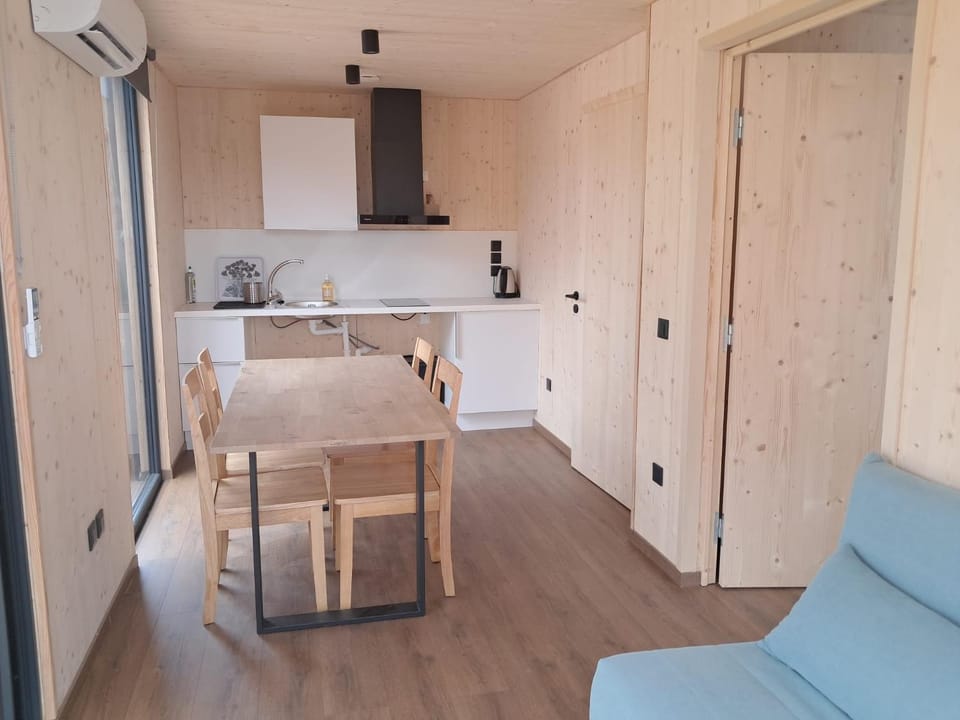 Kitchen or kitchenette, Dining area