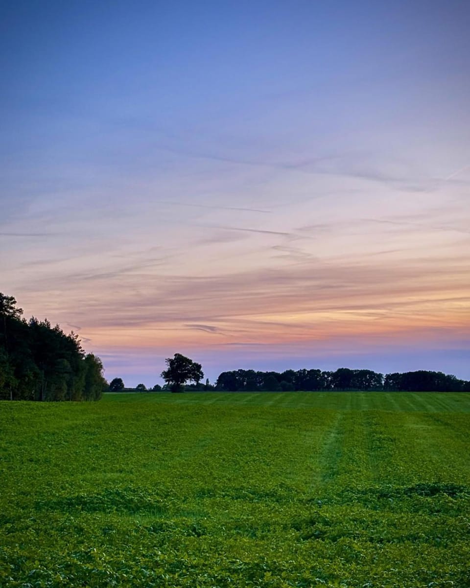 Natural landscape