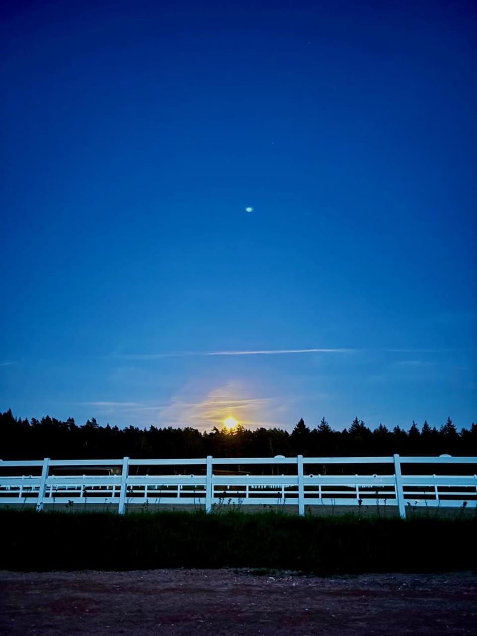 Night