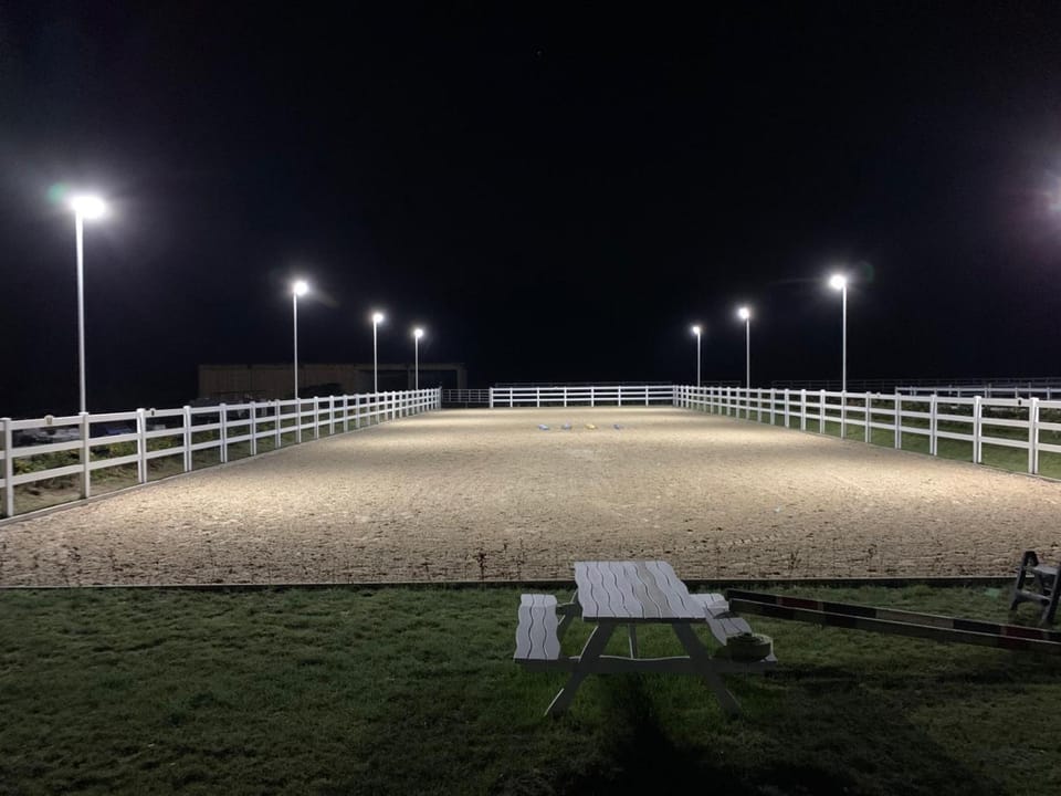 Night, Horse-riding, Animals