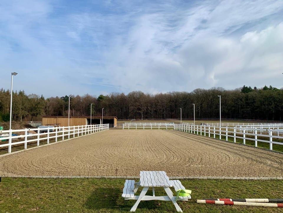 Horse-riding, Animals