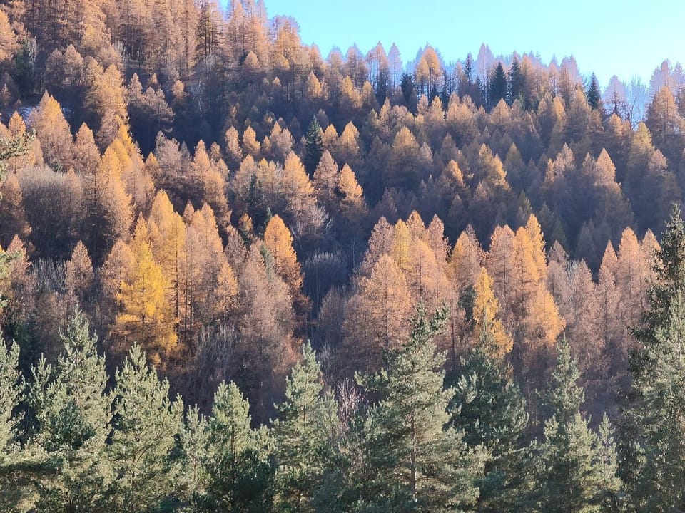 Natural landscape