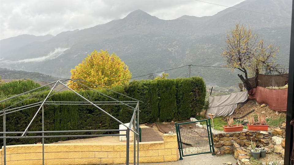 Garden, Mountain view