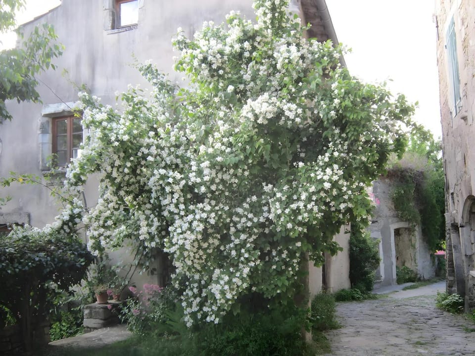 Chez Marjolaine House in Provence